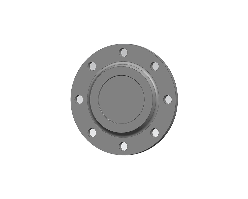 Blind Flange product photograph